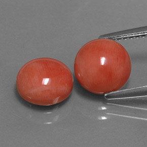 أحجار مرجان السلمون الأبيض طبيعية، قصة دائرى، غير شفاف، وزنها  قيراط