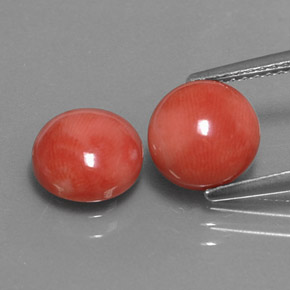 أحجار مرجان السلمون الأبيض طبيعية، قصة دائرى، غير شفاف، وزنها  قيراط