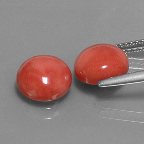 أحجار مرجان السلمون الأبيض طبيعية، قصة دائرى، غير شفاف، وزنها  قيراط