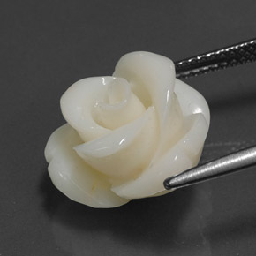 مرجان أبيض طبيعي، شكل خيالي، 8.97 قيراط، غير شفاف