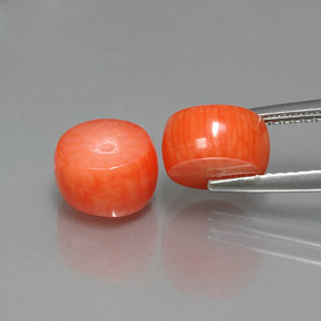 أحجار مرجان سالمون طبيعية، شكل خيالي، غير شفاف، وزنها  قيراط