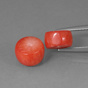 أحجار مرجان سالمون طبيعية، شكل خيالي، غير شفاف، وزنها  قيراط