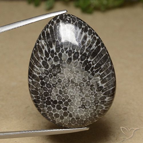 46.04ct طبيعي متعدد الألوان مرجان, شكل الكمثرى, غير شفاف