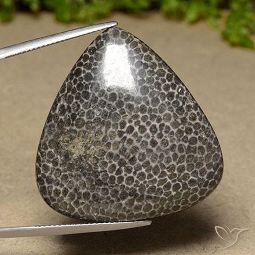 44.83ct طبيعي متعدد الألوان مرجان, شكل الكمثرى, غير شفاف, Photo A