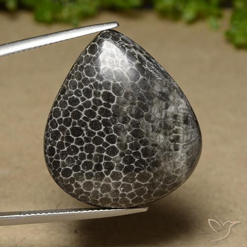 32.89ct طبيعي متعدد الألوان مرجان, شكل الكمثرى, غير شفاف
