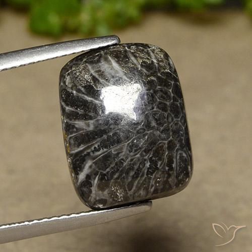 11.07ct طبيعي متعدد الألوان مرجان, وسادة, غير شفاف