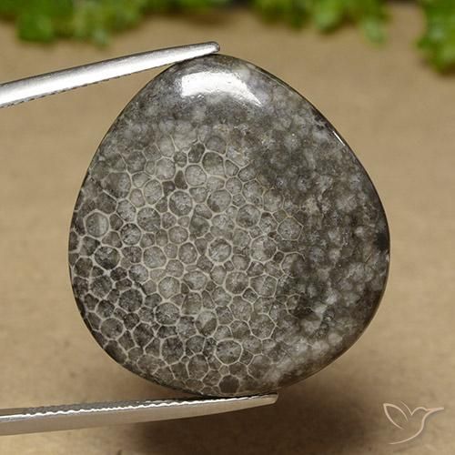 27.41ct طبيعي متعدد الألوان مرجان, شكل الكمثرى, غير شفاف