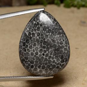 مرجان متعدد الألوان طبيعي، شكل الكمثرى، 22.48 قيراط، غير شفاف