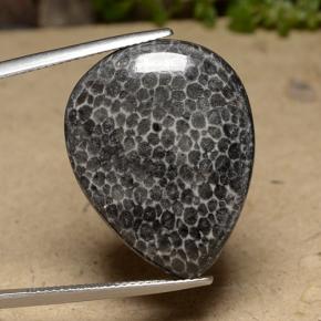 مرجان متعدد الألوان طبيعي، شكل الكمثرى، 22.48 قيراط، غير شفاف