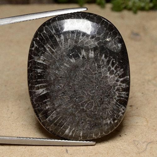 39.77ct طبيعي متعدد الألوان مرجان, وسادة, غير شفاف, Photo A