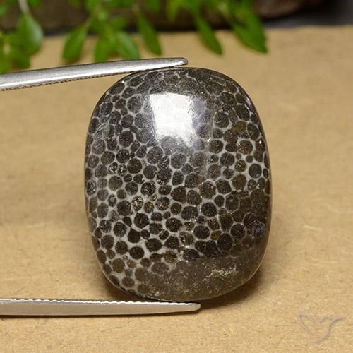 28.32ct طبيعي متعدد الألوان مرجان, وسادة, غير شفاف