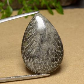 مرجان متعدد الألوان طبيعي، شكل الكمثرى، 20.56 قيراط، غير شفاف