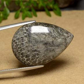 مرجان متعدد الألوان طبيعي، شكل الكمثرى، 20.56 قيراط، غير شفاف