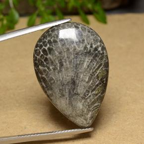 مرجان متعدد الألوان طبيعي، شكل الكمثرى، 20.56 قيراط، غير شفاف