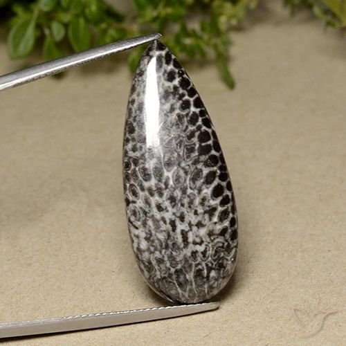 21.91ct طبيعي متعدد الألوان مرجان, شكل الكمثرى, غير شفاف