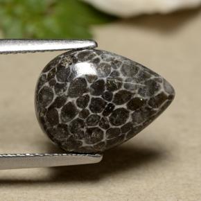 مرجان رمادي طبيعي، شكل الكمثرى، 2.93 قيراط، غير شفاف