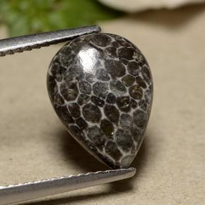 مرجان رمادي طبيعي، شكل الكمثرى، 2.93 قيراط، غير شفاف