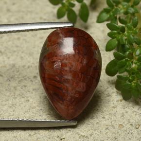 مرجان متعدد الألوان طبيعي، شكل الكمثرى، 7.90 قيراط، غير شفاف