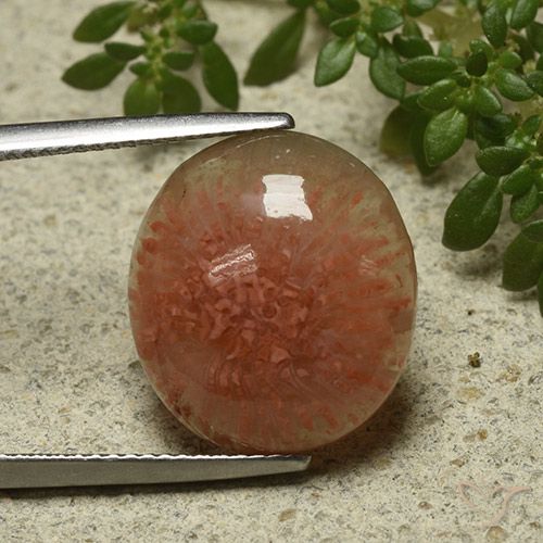 9.34ct طبيعي متعدد الألوان مرجان, بيضوي, نصف شفاف