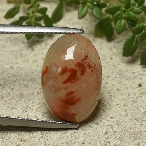 6.87ct طبيعي متعدد الألوان مرجان, بيضوي, نصف شفاف