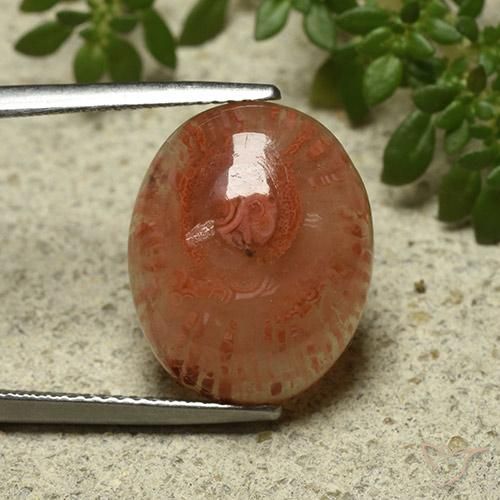 9.87ct طبيعي متعدد الألوان مرجان, بيضوي, نصف شفاف