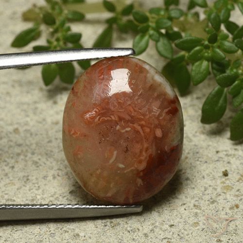 9.58ct طبيعي متعدد الألوان مرجان, بيضوي, نصف شفاف