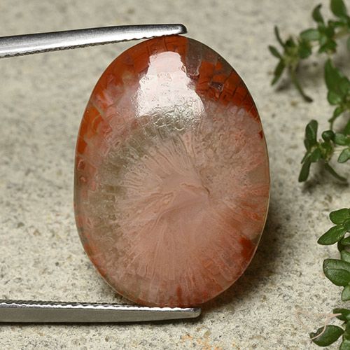 12.10ct طبيعي متعدد الألوان مرجان, بيضوي, نصف شفاف