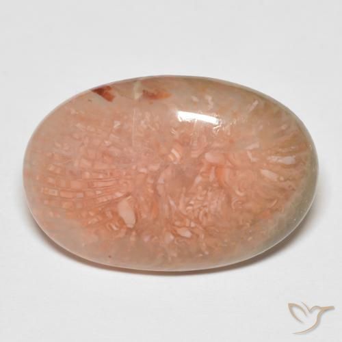11.50ct طبيعي متعدد الألوان مرجان, بيضوي, نصف شفاف