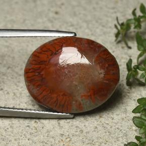 مرجان متعدد الألوان طبيعي، قصة بيضاوى، 12.59 قيراط، غير شفاف