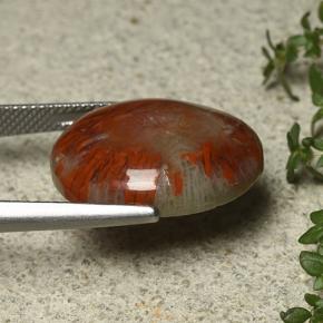 مرجان متعدد الألوان طبيعي، قصة بيضاوى، 12.59 قيراط، غير شفاف