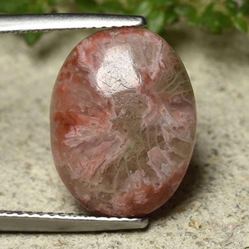 6.22ct طبيعي متعدد الألوان مرجان, بيضوي, غير شفاف