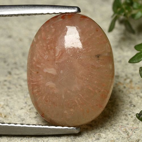 7.45ct طبيعي متعدد الألوان مرجان, بيضوي, نصف شفاف