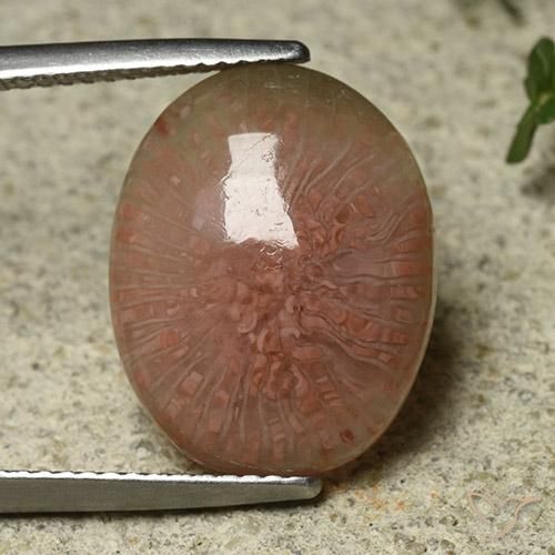 7.81ct طبيعي متعدد الألوان مرجان, بيضوي, نصف شفاف