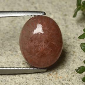 مرجان متعدد الألوان طبيعي، قصة بيضاوى، 6.35 قيراط، نصف شفاف