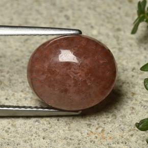 مرجان متعدد الألوان طبيعي، قصة بيضاوى، 6.35 قيراط، نصف شفاف