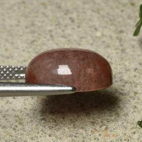 مرجان متعدد الألوان طبيعي، قصة بيضاوى، 6.35 قيراط، نصف شفاف