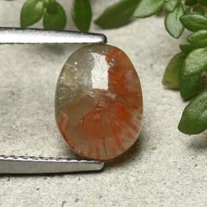 مرجان متعدد الألوان طبيعي، قصة بيضاوى، 1.88 قيراط، نصف شفاف