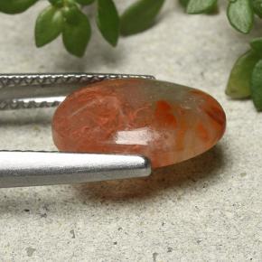 مرجان متعدد الألوان طبيعي، قصة بيضاوى، 2.54 قيراط، نصف شفاف