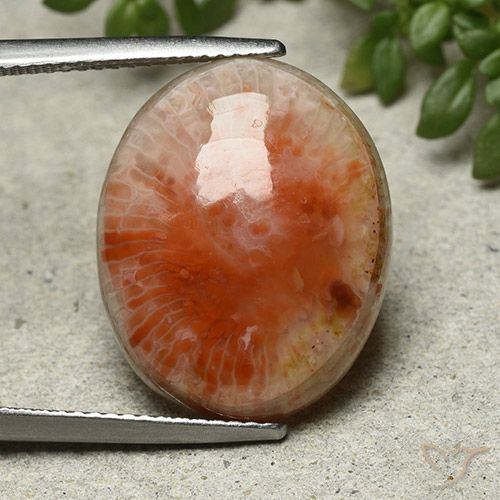13.21ct طبيعي متعدد الألوان مرجان, بيضوي, غير شفاف
