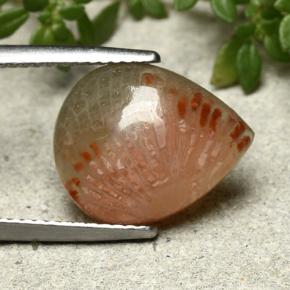 مرجان متعدد الألوان طبيعي، شكل الكمثرى، 5.26 قيراط، نصف شفاف