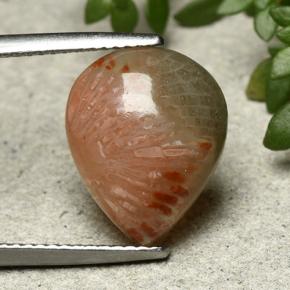 مرجان متعدد الألوان طبيعي، شكل الكمثرى، 5.26 قيراط، نصف شفاف