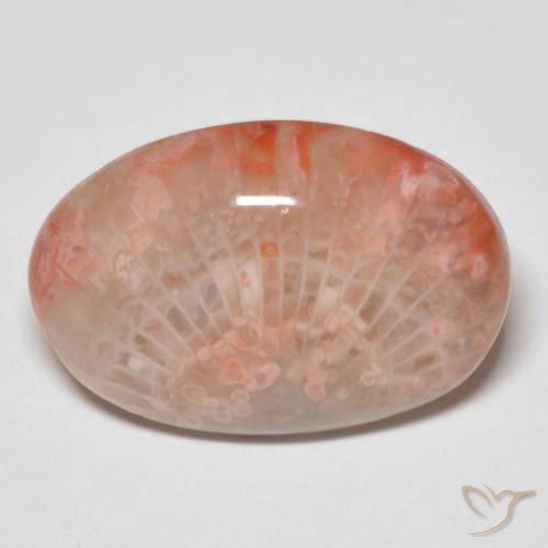 11.96ct طبيعي متعدد الألوان مرجان, بيضوي, غير شفاف