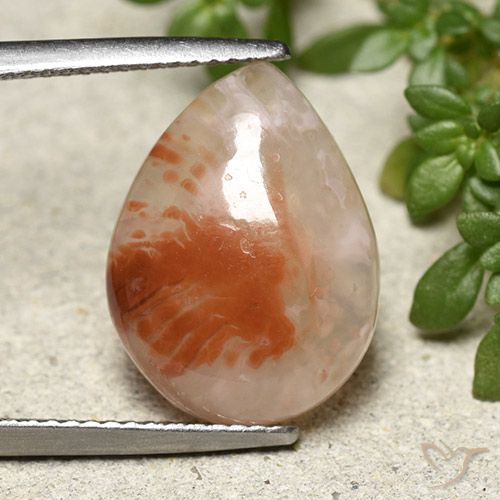 6.43ct طبيعي متعدد الألوان مرجان, شكل الكمثرى, نصف شفاف