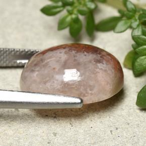 مرجان متعدد الألوان طبيعي، قصة بيضاوى، 12.54 قيراط، نصف شفاف