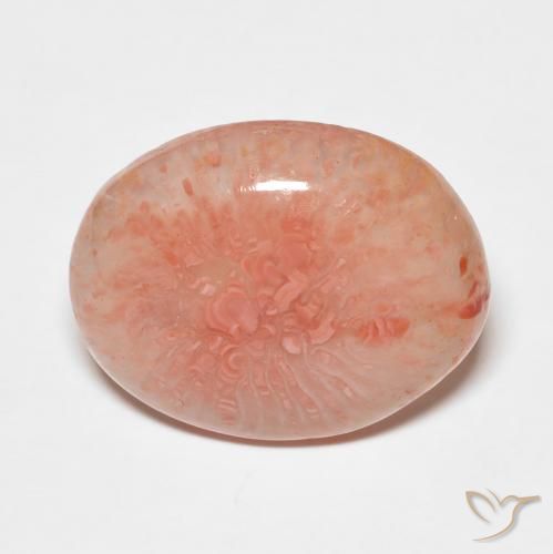 7.43ct طبيعي متعدد الألوان مرجان, بيضوي, نصف شفاف