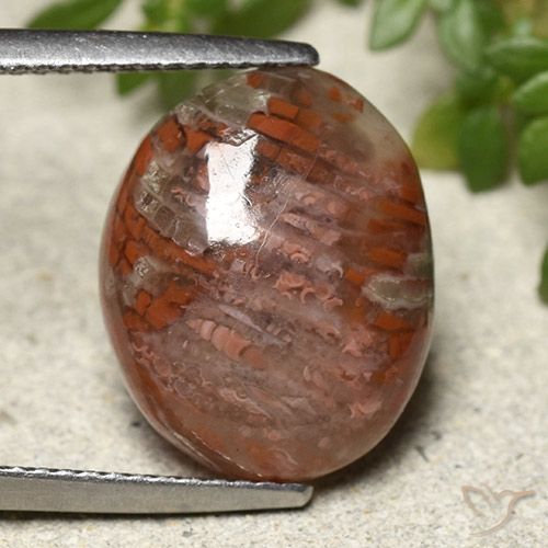 7.28ct طبيعي متعدد الألوان مرجان, بيضوي, نصف شفاف