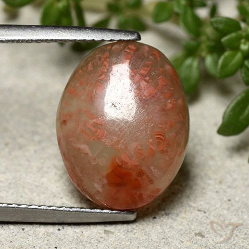 6.66ct طبيعي متعدد الألوان مرجان, بيضوي, نصف شفاف