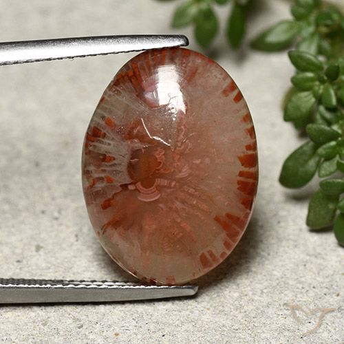 10.04ct طبيعي متعدد الألوان مرجان, بيضوي, نصف شفاف