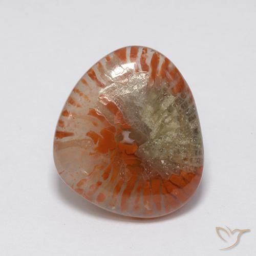 7.59ct طبيعي متعدد الألوان مرجان, فانسى, نصف شفاف