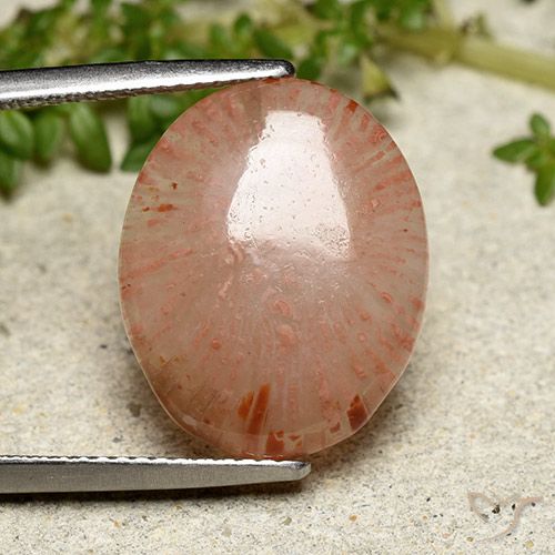 7.55ct طبيعي متعدد الألوان مرجان, بيضوي, نصف شفاف